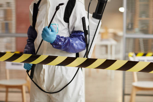 Professional Blood Cleanup technician working in Flagler Beach, FL